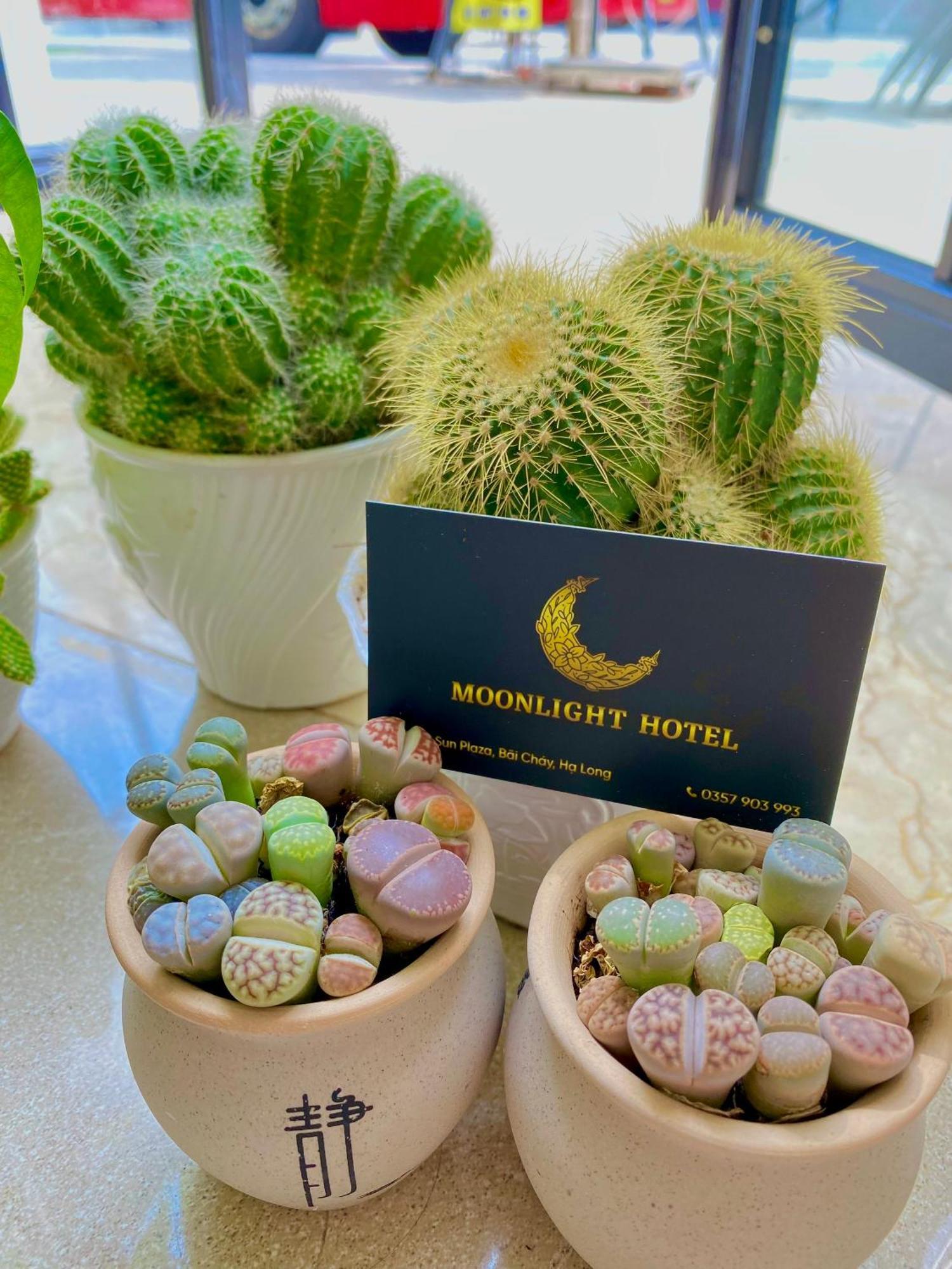 Moonlight Hotel Ha Long Bagian luar foto